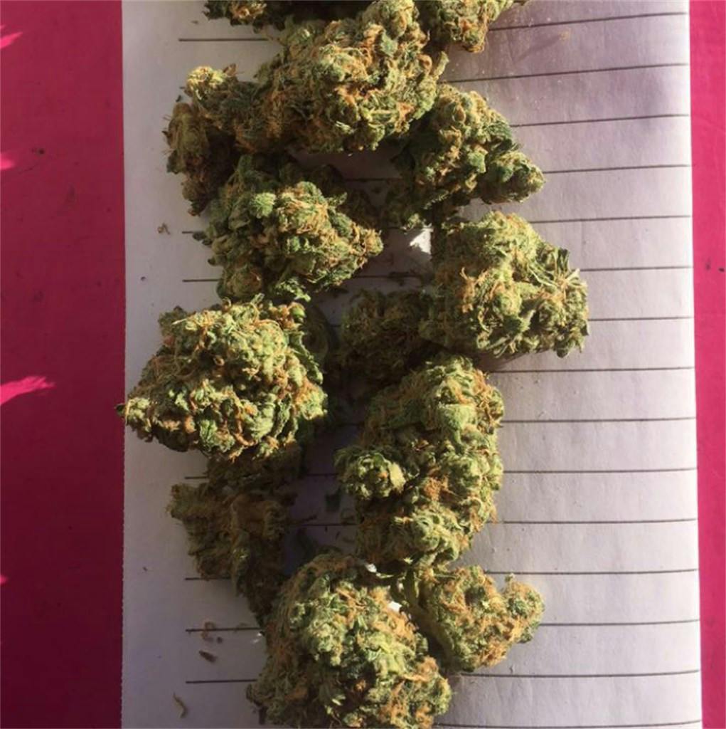 Cherry Pie Weed Strain Information Leafly