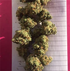User uploaded image of Cherry Pie