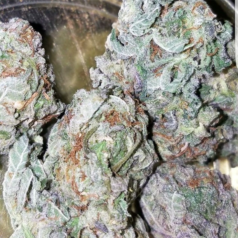 Photos of Cherry Pie Weed Strain Buds Leafly