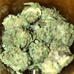 User uploaded image of Cherry Pie