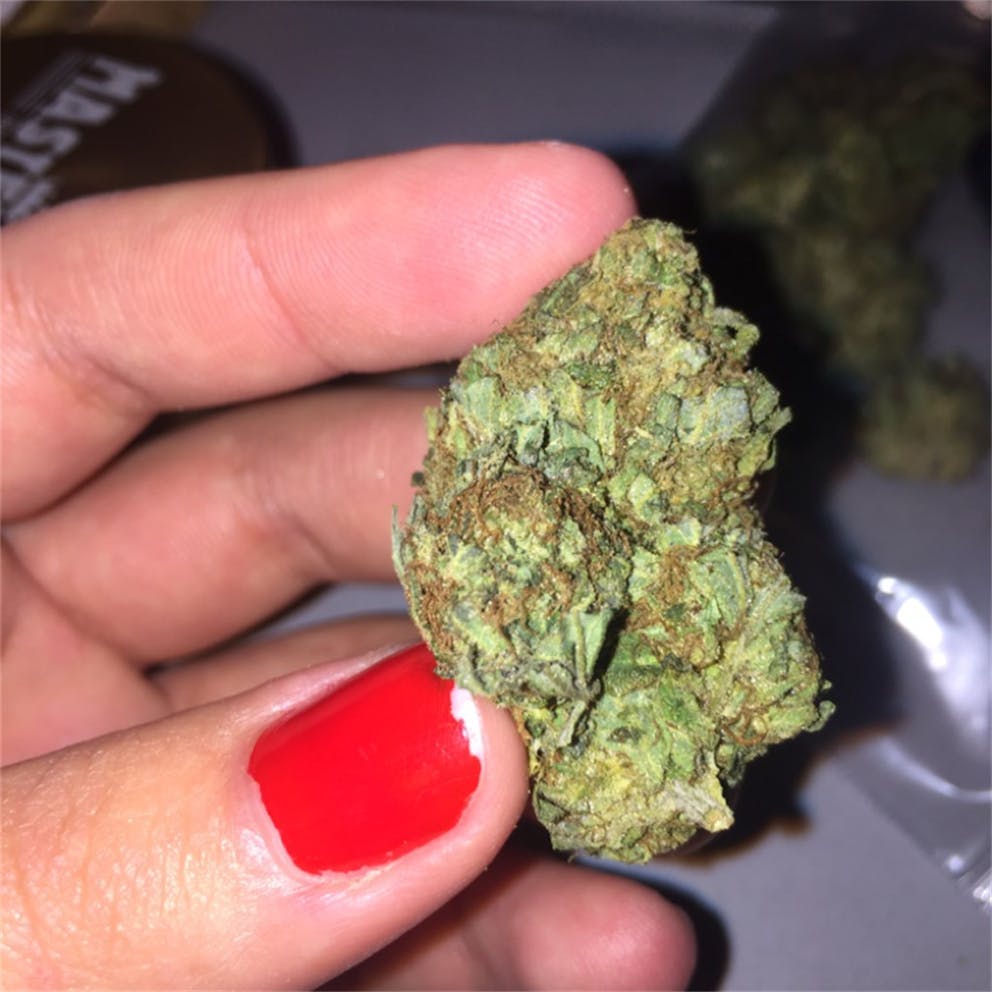 Photos of Cherry Pie Weed Strain Buds Leafly