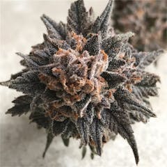 User uploaded image of Cherry Pie