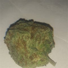 User uploaded image of Cherry Sherbet