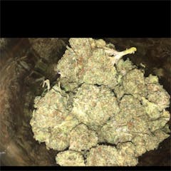 User uploaded image of Cherry Sherbet