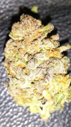 User uploaded image of Cherry Sherbet