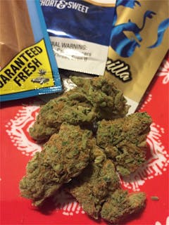User uploaded image of Cherry Skunk