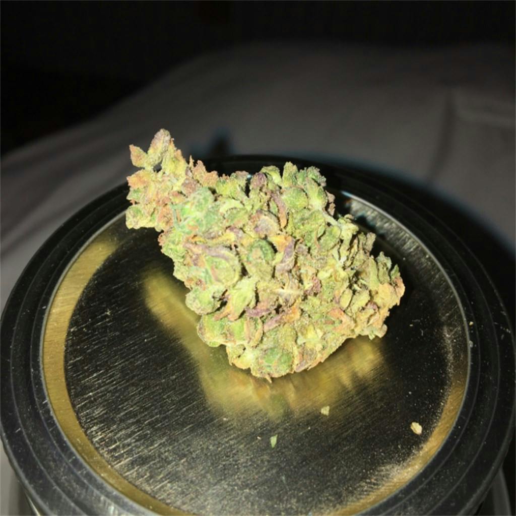 Cherry Skunk Weed Strain Information | Leafly