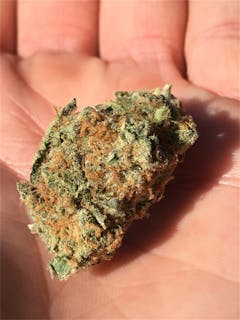 User uploaded image of Cherry Skunk