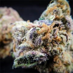 User uploaded image of Cherry Thunder Fuck