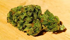 User uploaded image of Chiesel