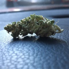 User uploaded image of Chiesel