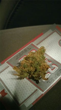 User uploaded image of Chiesel