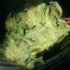 User uploaded image of Chiesel