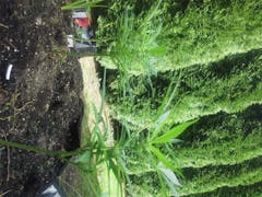 User uploaded image of China Yunnan