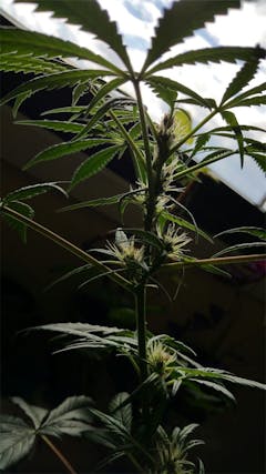 User uploaded image of China Yunnan