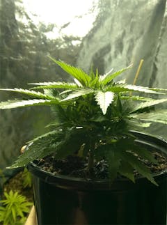 User uploaded image of China Yunnan