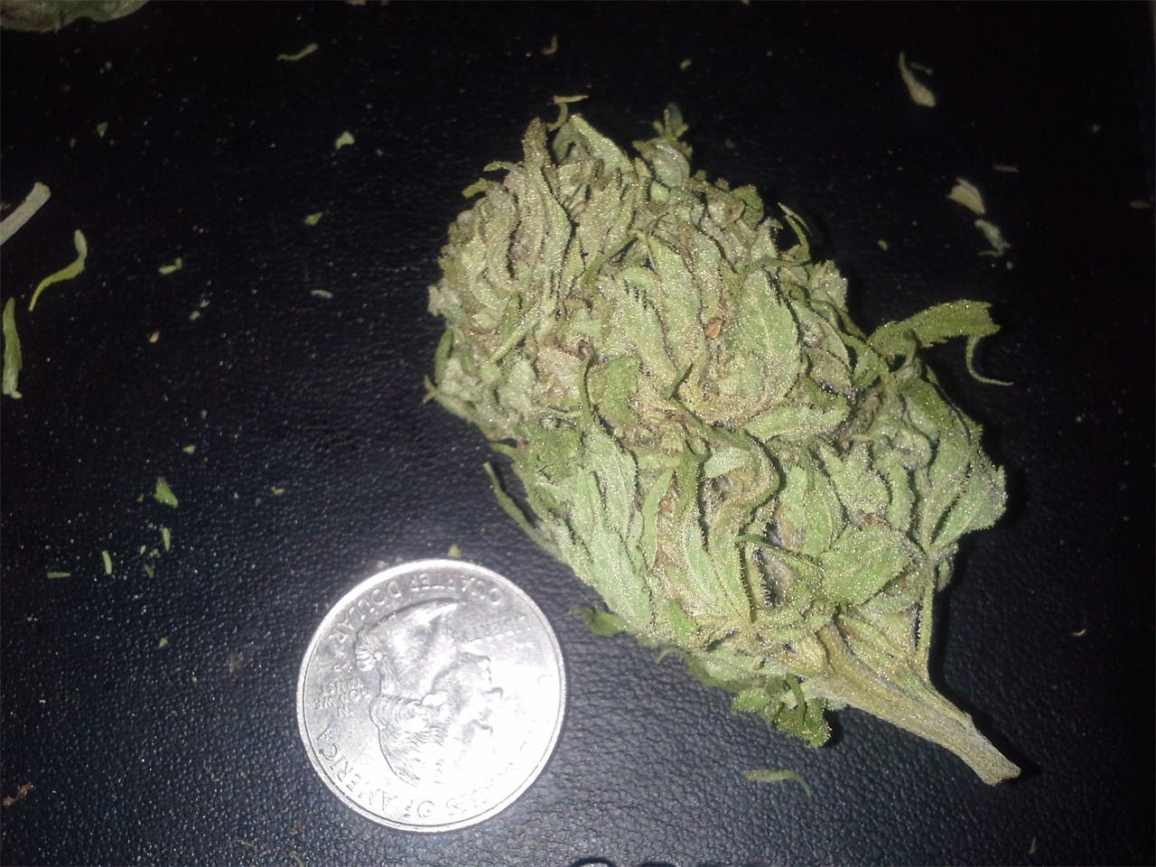 China Yunnan Weed Strain Information Leafly