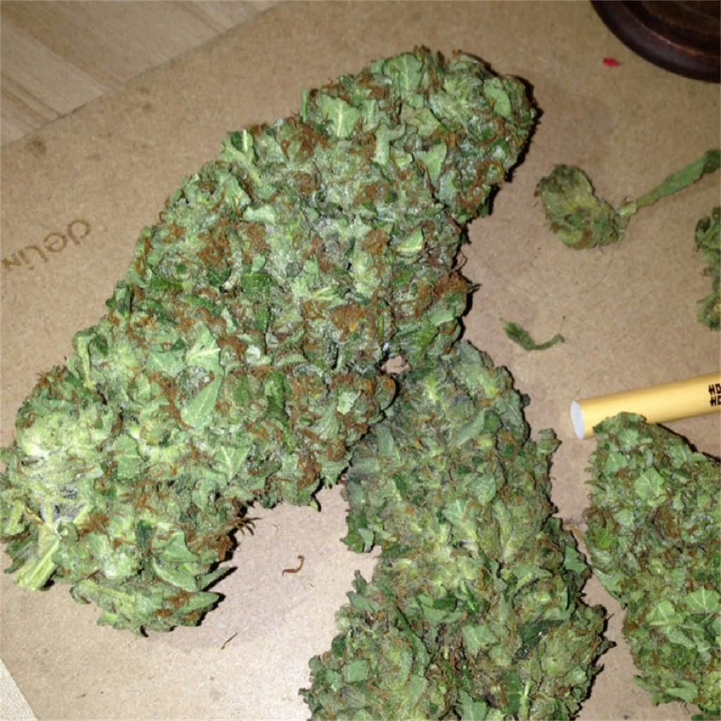 China Yunnan Weed Strain Information Leafly