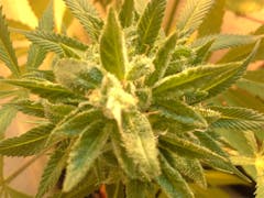 User uploaded image of China Yunnan