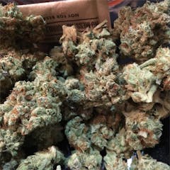 User uploaded image of Chloe