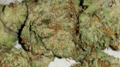 User uploaded image of Chloe