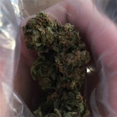 User uploaded image of Chocolate Chunk