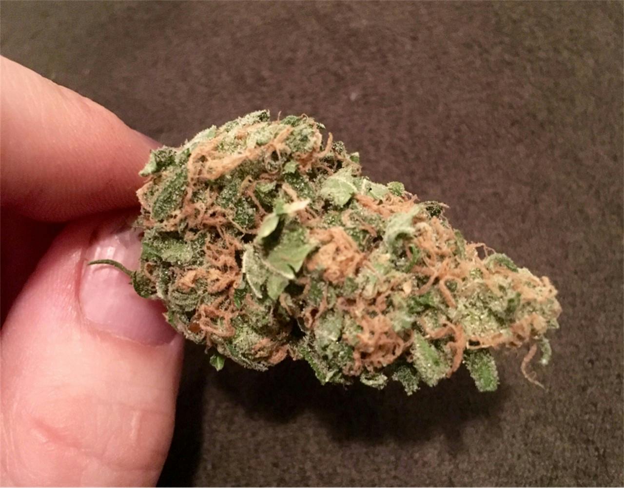 Photos of Chocolate Chunk Weed Strain Buds Leafly