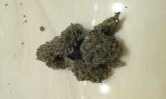 User uploaded image of Chocolate Diesel