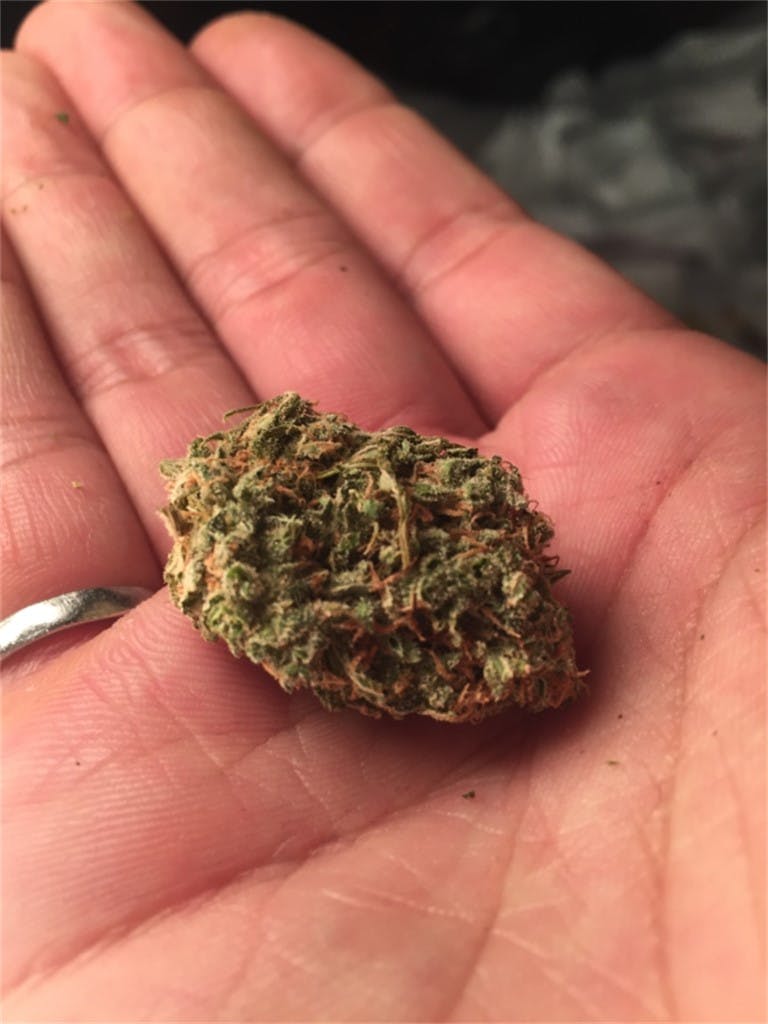 Chocolate Fondue Weed Strain Information Leafly