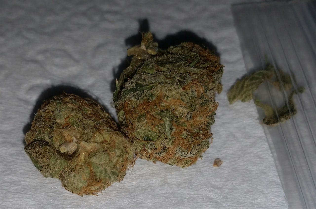 Chocolate Hashberry Weed Strain Information Leafly