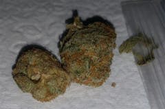 User uploaded image of Chocolate Hashberry