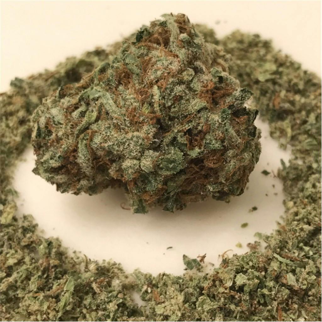 Chocolate Hashberry Weed Strain Information Leafly