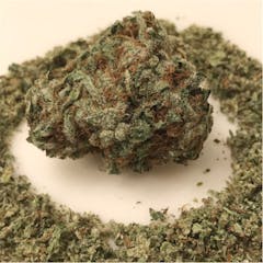 User uploaded image of Chocolate Hashberry