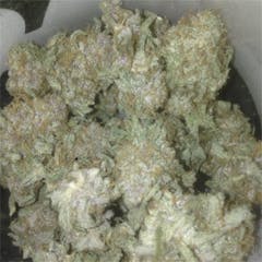 User uploaded image of Chocolate Hashberry