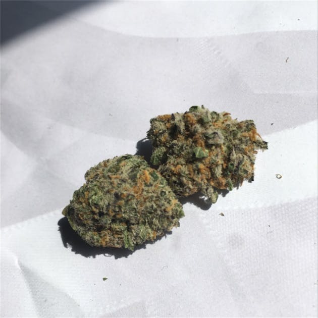 Photos of Chocolate Hashberry Weed Strain Buds Leafly