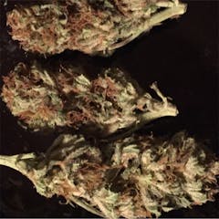 User uploaded image of Chocolate Hashberry