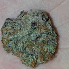 User uploaded image of Chocolate Hashberry