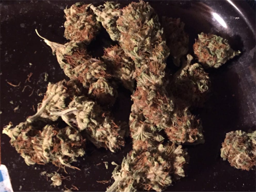 Photos of Chocolate Hashberry Weed Strain Buds Leafly