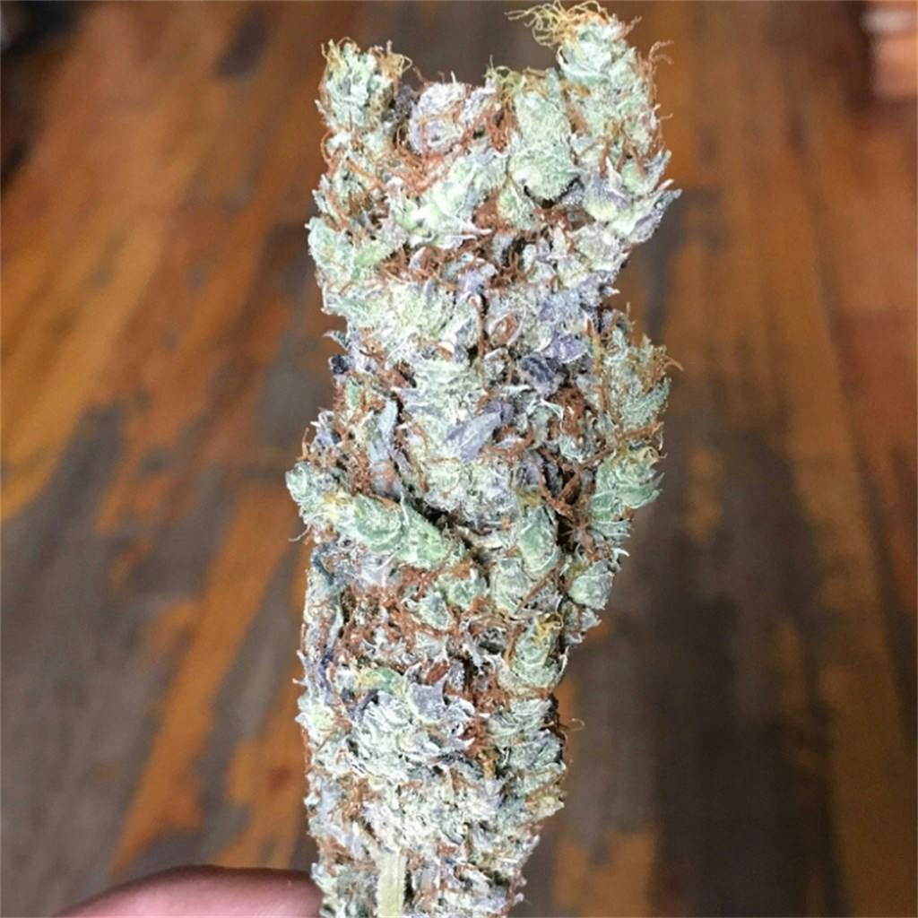 Chocolate Hashberry Weed Strain Information Leafly