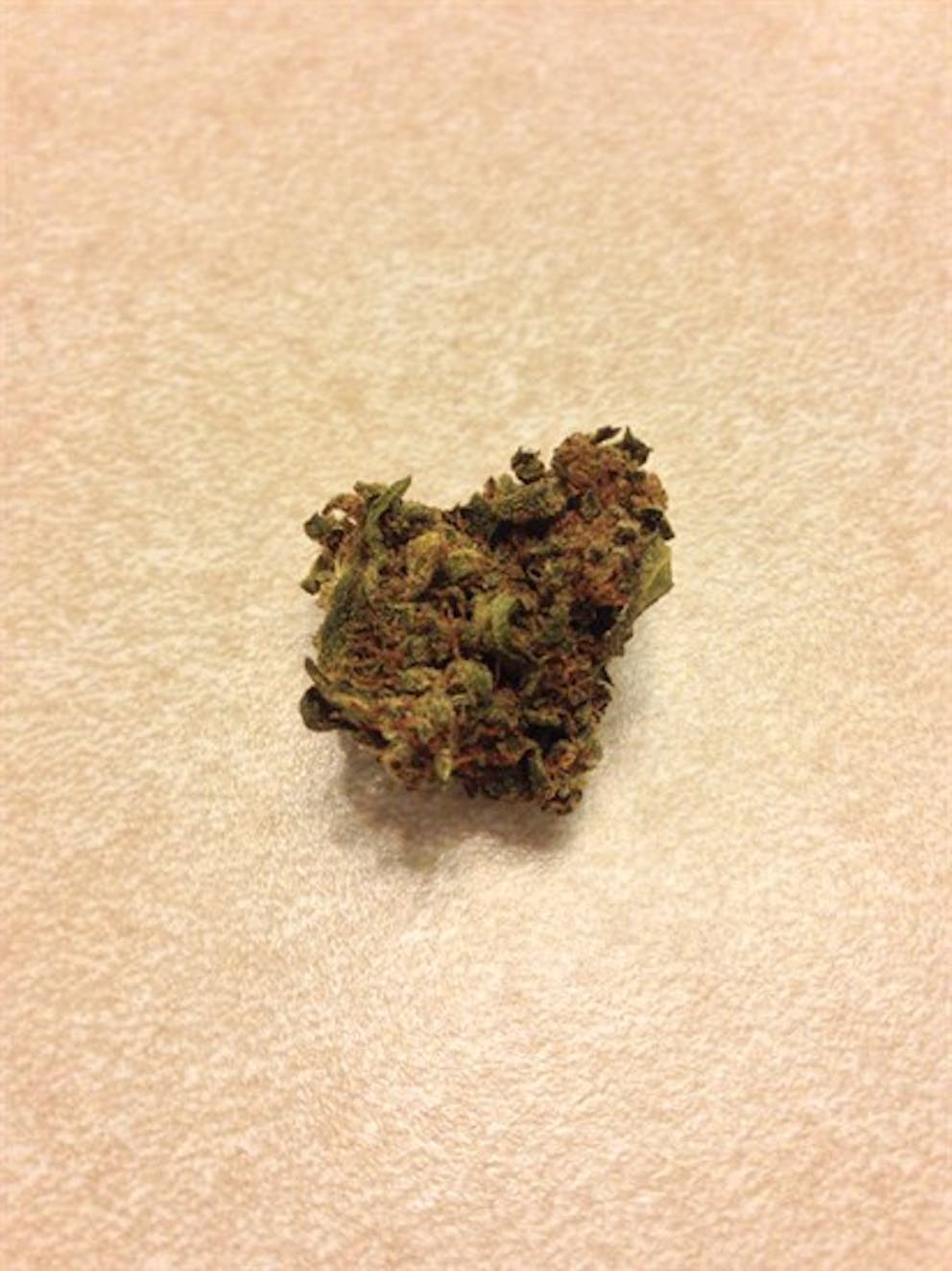 Photos of Chocolope Kush Weed Strain Buds Leafly
