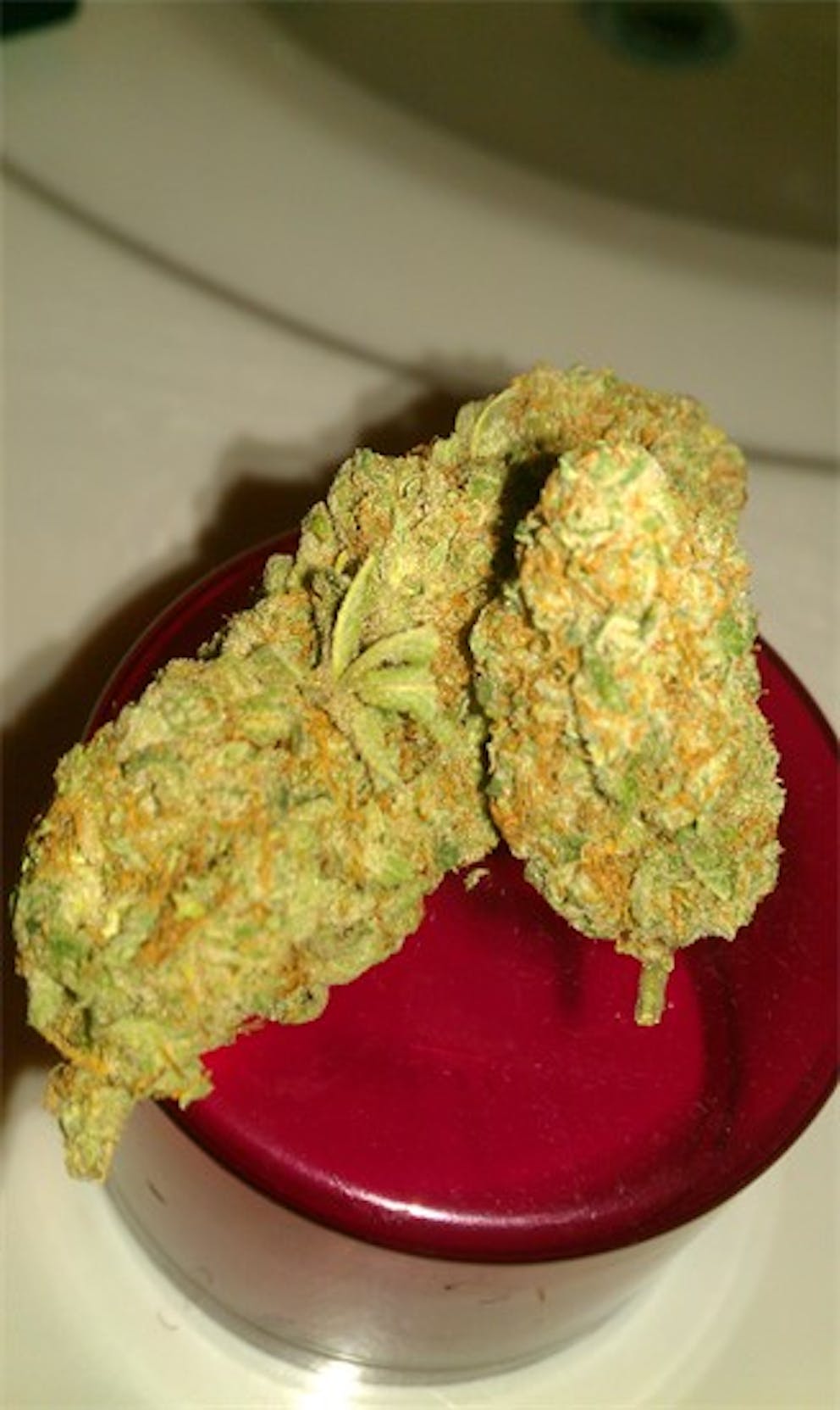 Photos of Chocolope Kush Weed Strain Buds Leafly