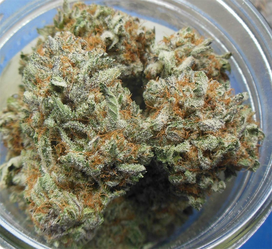 Photos of Chocolope Kush Weed Strain Buds Leafly