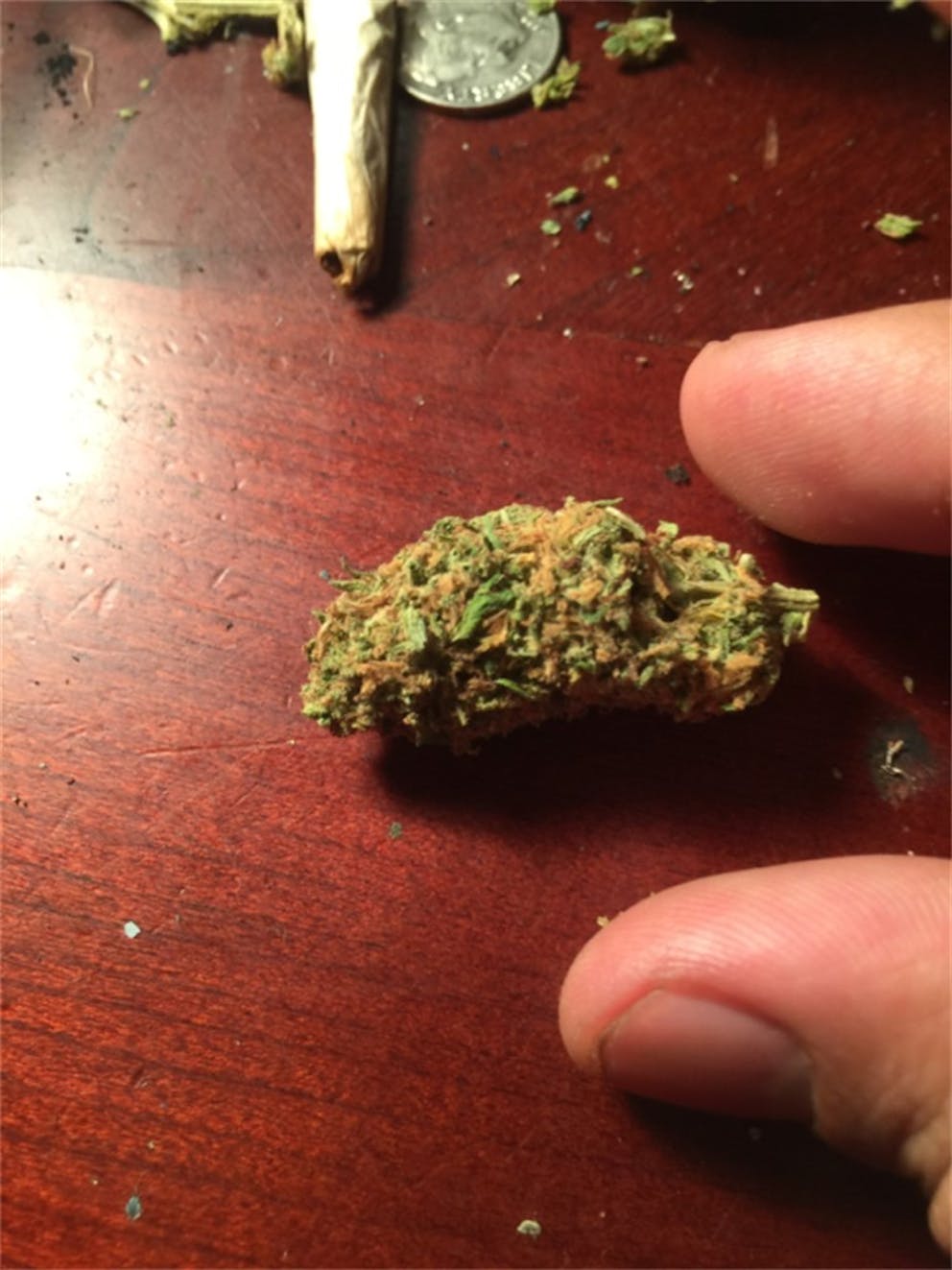 Photos of Chocolate Kush Weed Strain Buds Leafly