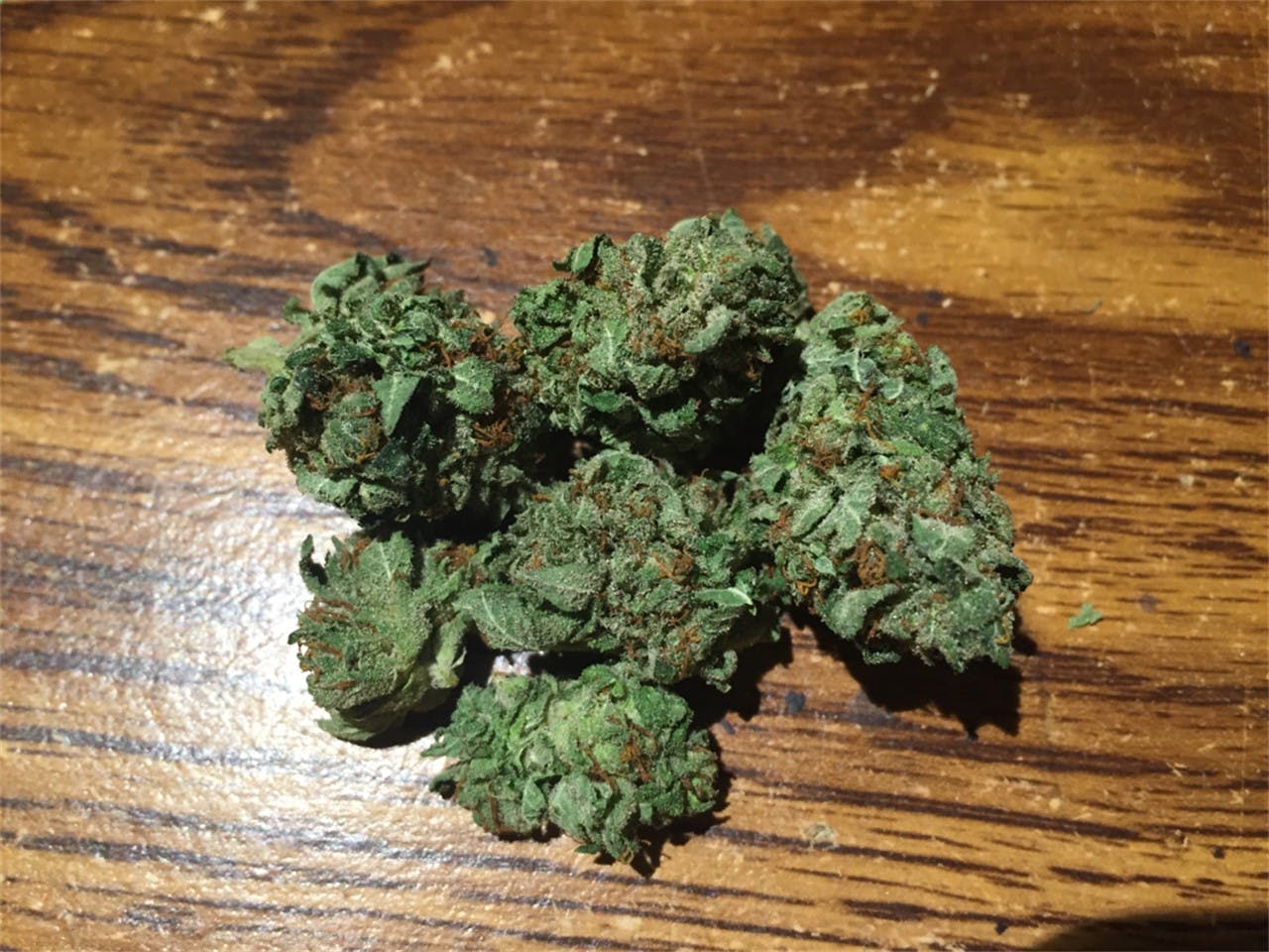 Photos of Chocolate Kush Weed Strain Buds Leafly