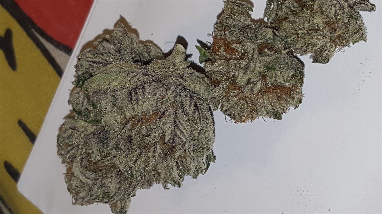 Photos of Chocolate Kush Weed Strain Buds Leafly