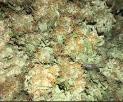User uploaded image of Chocolate Kush