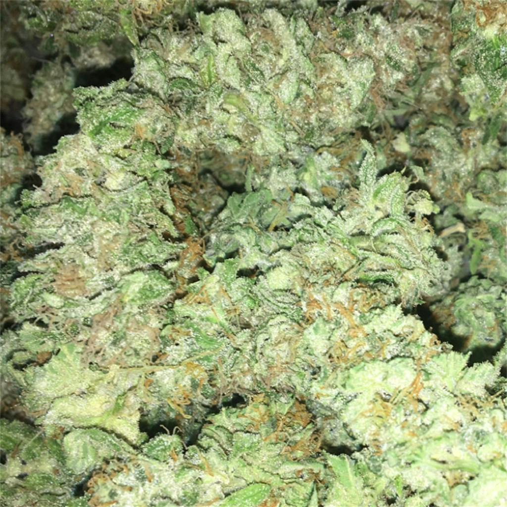 Chocolate Kush Weed Strain Information Leafly