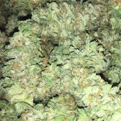 User uploaded image of Chocolate Kush