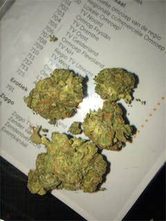 User uploaded image of Chocolate Kush