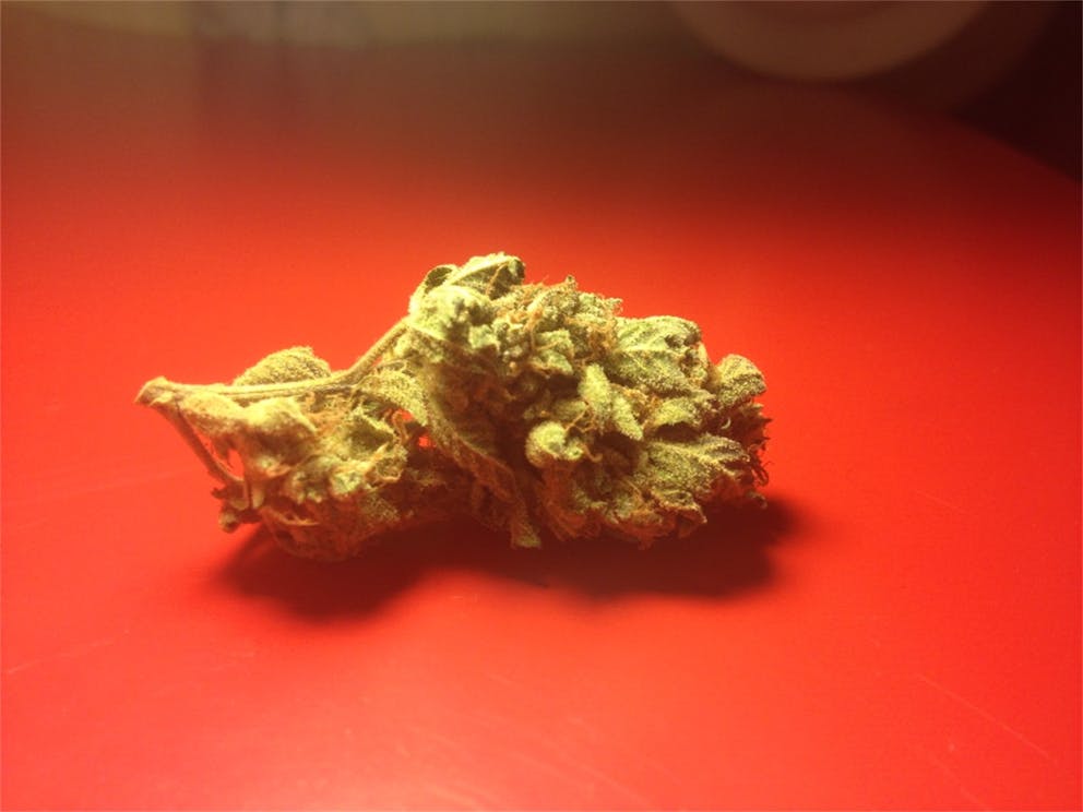 Photos of Chocolope Kush Weed Strain Buds Leafly